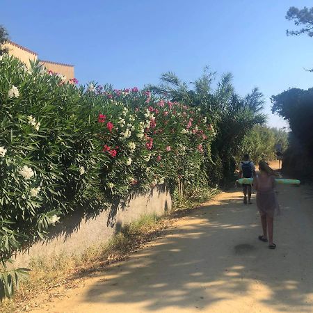 La Corse Tranquille 300M De La Plage Et Piscine Linguizzetta Esterno foto