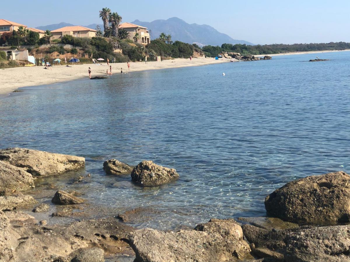 La Corse Tranquille 300M De La Plage Et Piscine Linguizzetta Esterno foto