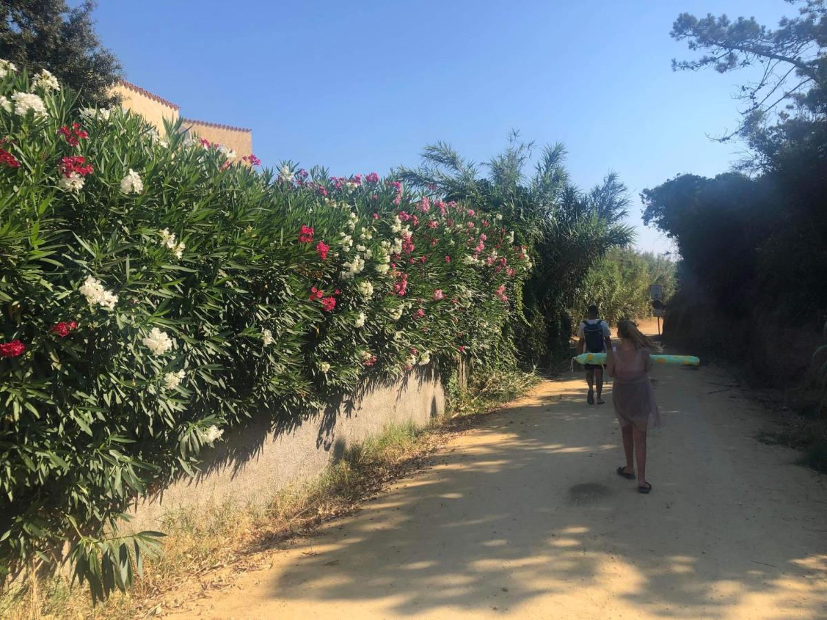 La Corse Tranquille 300M De La Plage Et Piscine Linguizzetta Esterno foto